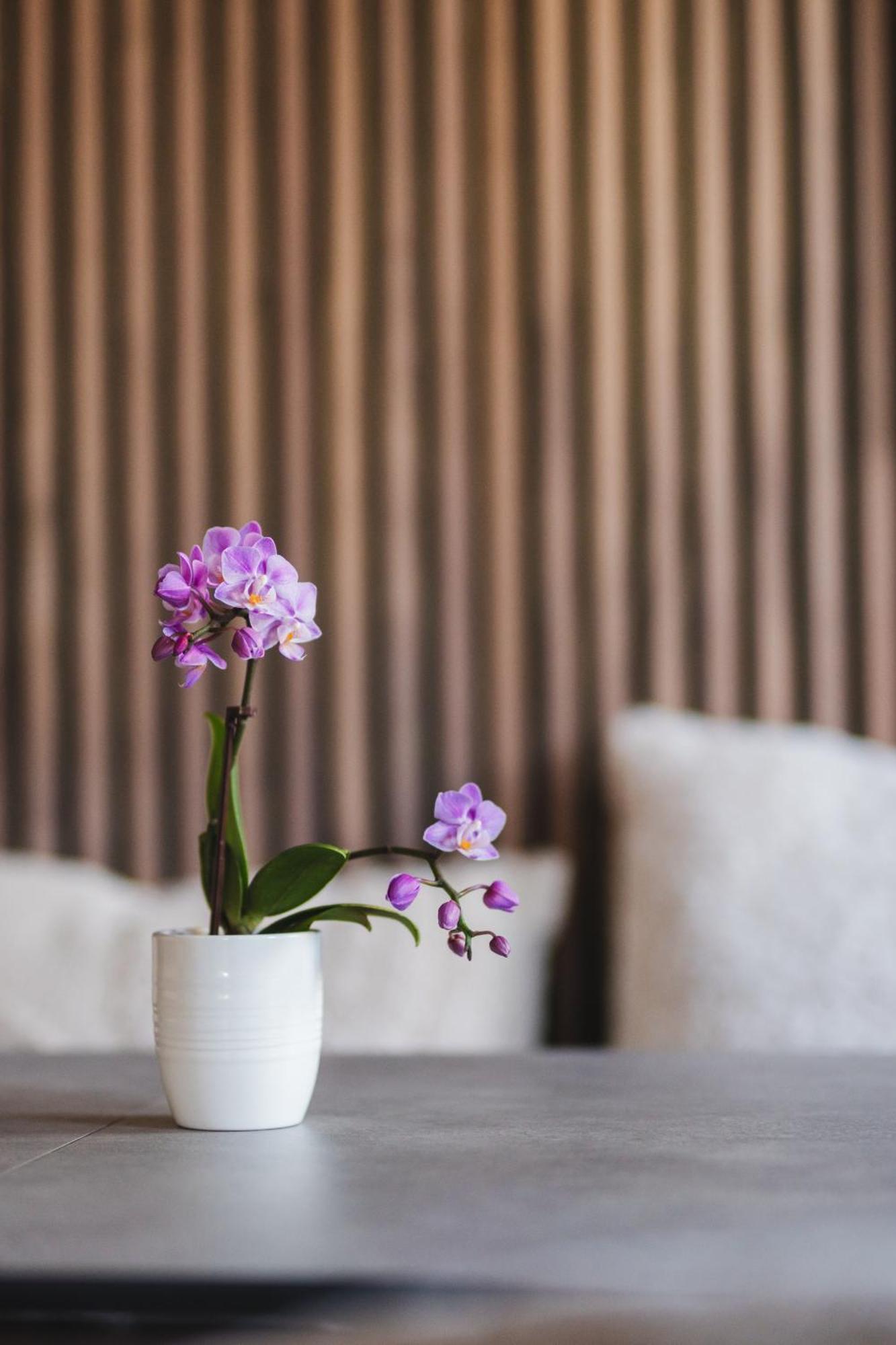 Vici Hotels Linkoeping Екстериор снимка